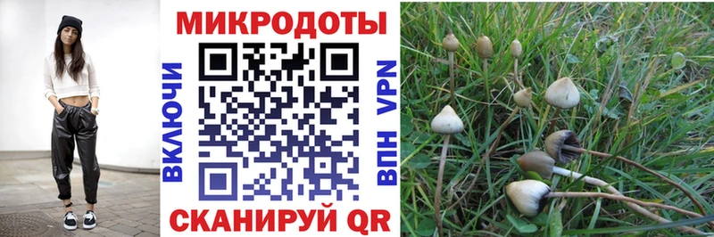 Псилоцибиновые грибы Cubensis  цена   Чекалин 